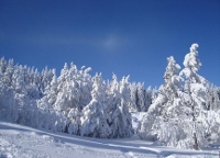 ブルガリアのヴィトシャ山の雪景色